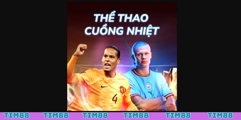 Chương trình hoàn trả hot nhất tại sảnh thể thao 1.6%