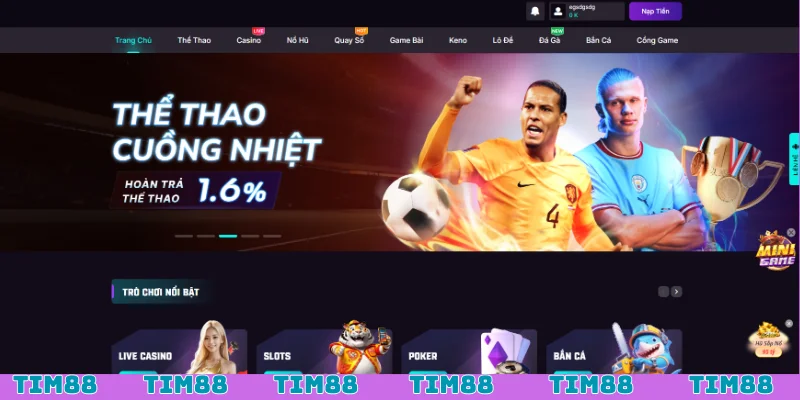 Tim88 ngày càng phát triển để mang đến nền tảng cá cờ an toàn