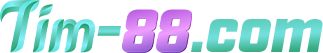 logo tim88.com